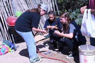 DSC_2046 (Large).JPG